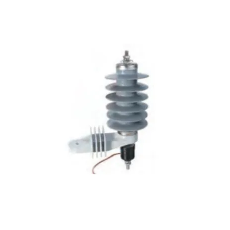 FUSE AND LIGHTING ARRESTER FORT LIGHTNING ARRESTER YH5W/YH10W/Y5W/Y10W-24KV 1 y5_10w_24kv